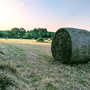 Meet your Posher, Timothy
